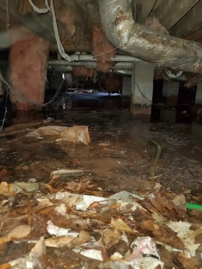 Crawl space flood assessment for Commercial Water Damage Restoration in El Cajon